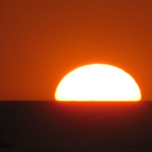 Meet your Posher, Don